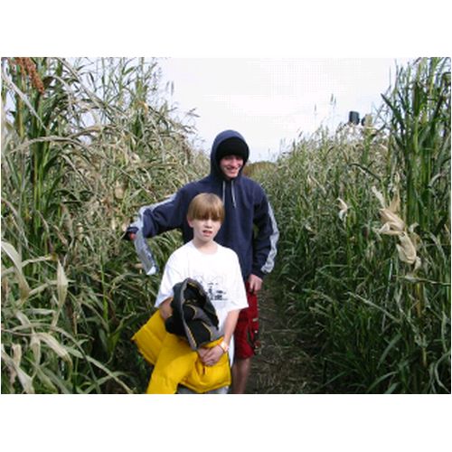 CornMaze2005 014.jpg